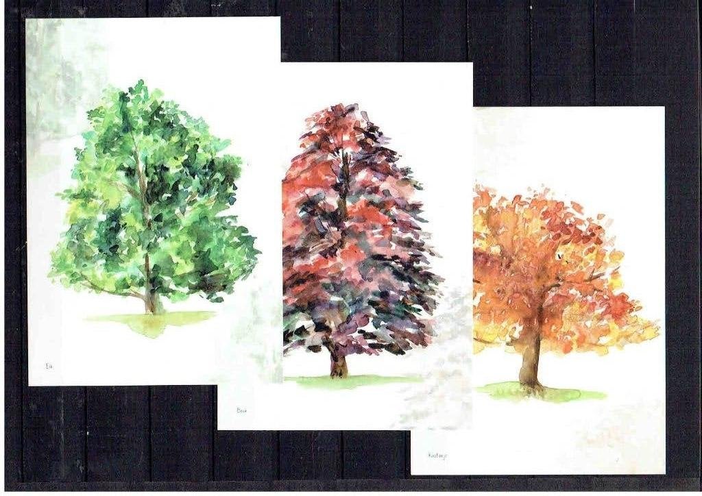 Ansichtkaarten Bomen Kastanje Berk Els, Verzenden, 1960 tot 1980, Ongelopen, Natuur