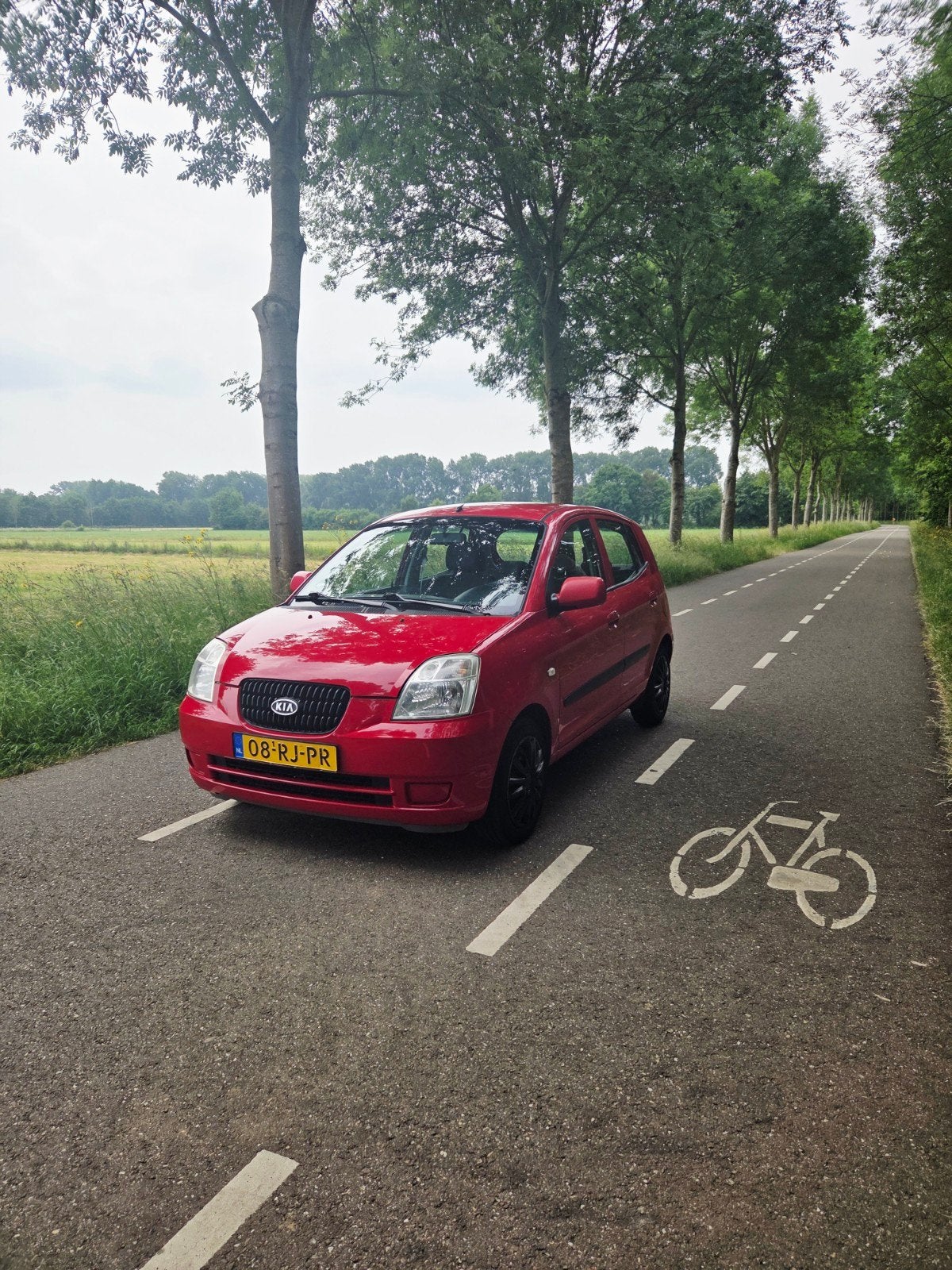 Kia Picanto 1.0, 2005, Nieuwe distr.riem, APK tot 31-12-2026, Auto's, Voorwielaandrijving, Stof, 836 kg, 31 €/maand