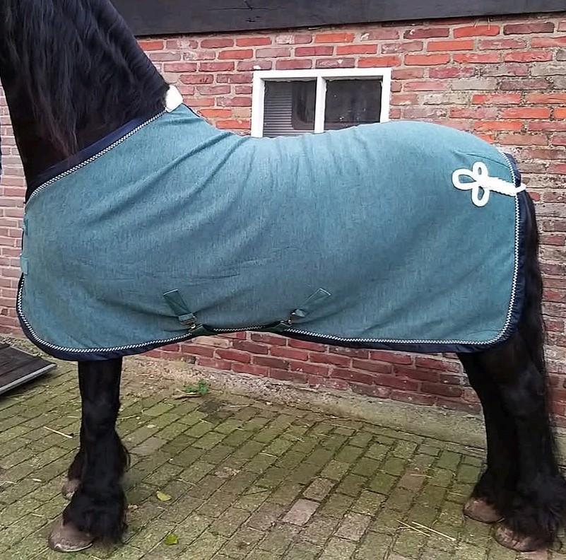 Eskadron zweetdeken, Dieren en Toebehoren, Ophalen of Verzenden