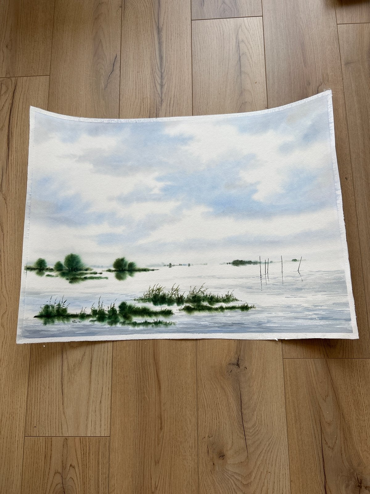 Aquarel Landschap met Water en Riet - Gesigneerd WZ '03, Antiek en Kunst, Realistisch, Ophalen of Verzenden, Gesigneerd, Aquarel