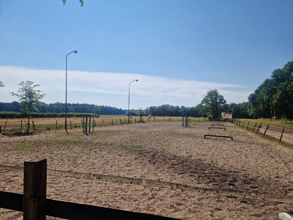 Pensionstalling met dagelijkse weidegang, Dieren en Toebehoren, Stalling en Weidegang, Weidegang, 2 of 3 paarden of pony's