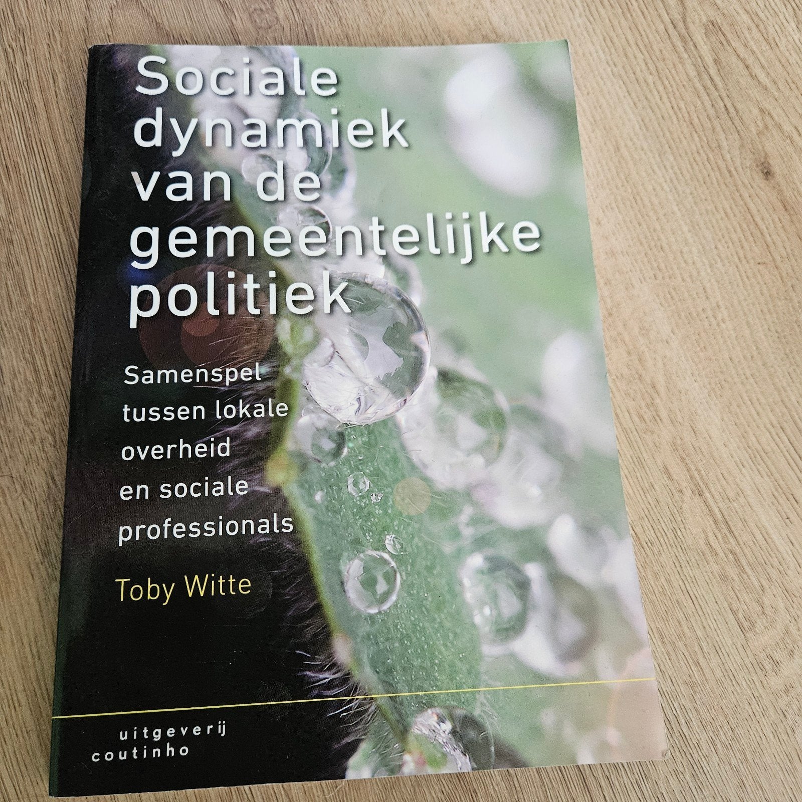 Sociale dynamiek van de gemeentelijke politiek, Boeken, Ophalen of Verzenden, Zo goed als nieuw, Politiek en Staatkunde, Nederland