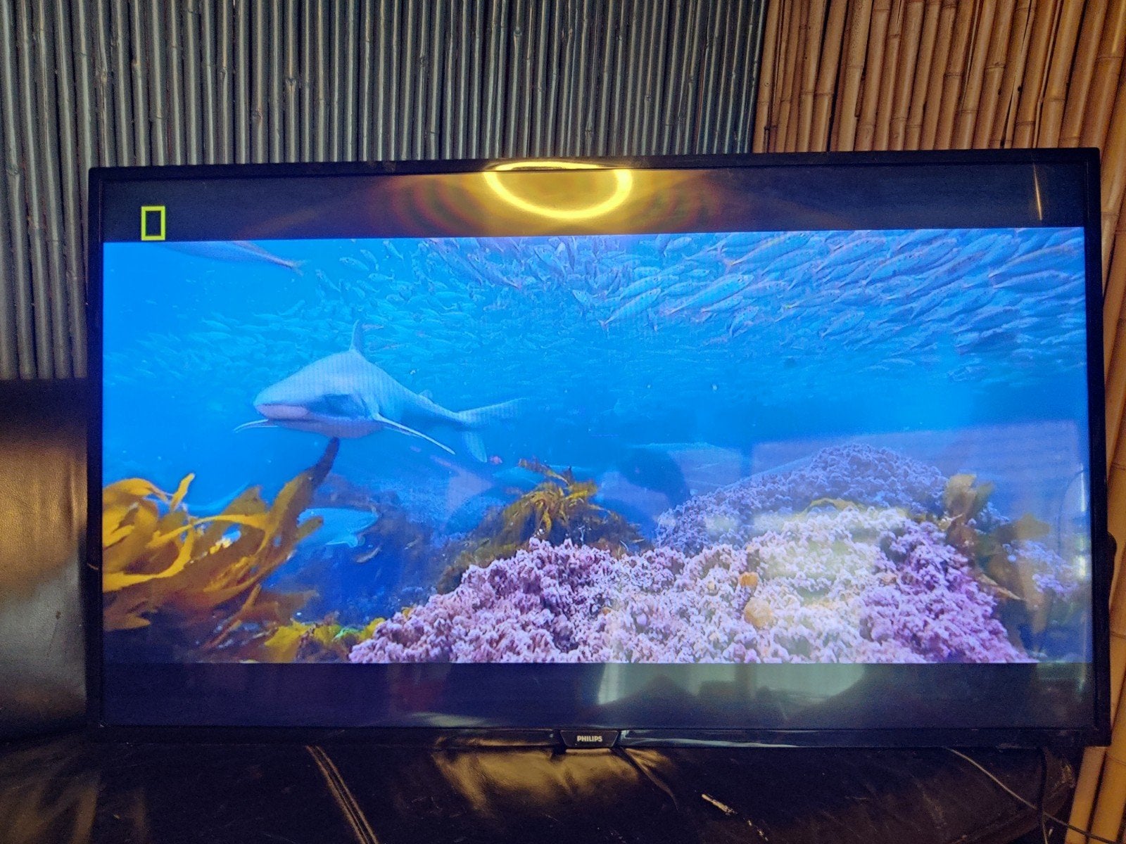 Philips 49PFS4132/12 Full HD LED TV - 123 cm (49 inch), Audio, Tv en Foto, Televisies, Philips, Ophalen of Verzenden, 100 cm of meer