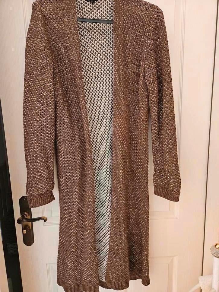 Mooi lang bruin vest met gouddraadje maat L, Ophalen of Verzenden, Zo goed als nieuw, Bruin