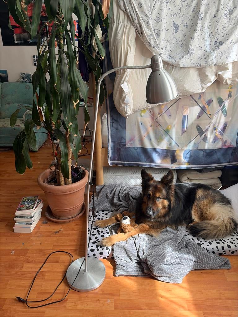 IKEA Lerstra vloerlamp, Ophalen, Gebruikt, Metaal, 150 tot 200 cm
