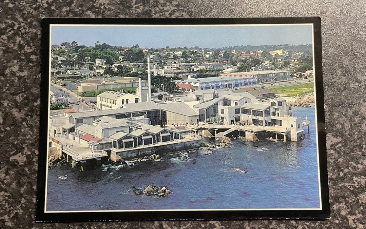 MONTEREY BAY AQUARIUM POSTCARD, Verzamelen, Ophalen of Verzenden, 1980 tot heden, Ongelopen, Waterdier