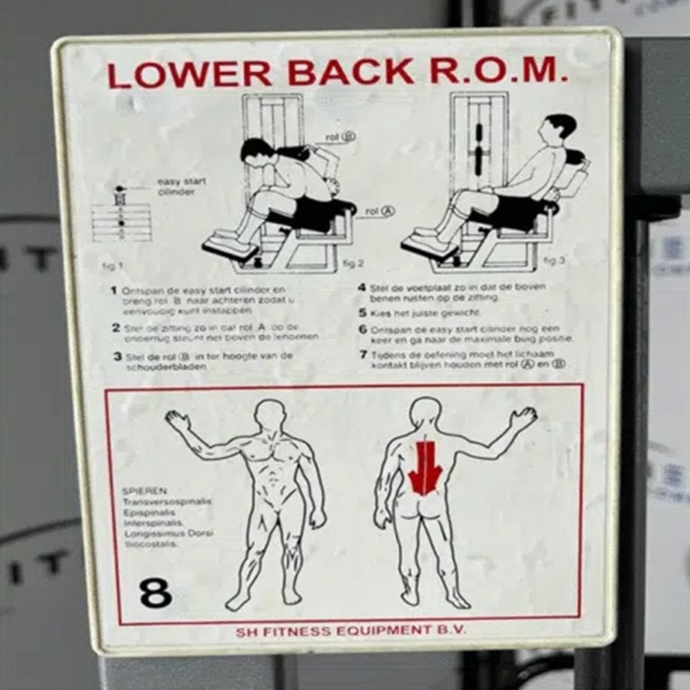 Technogym – Isotonic – Lower Back R.O.M., Sport en Fitness, Ophalen of Verzenden, Gebruikt, Rug, Overige typen