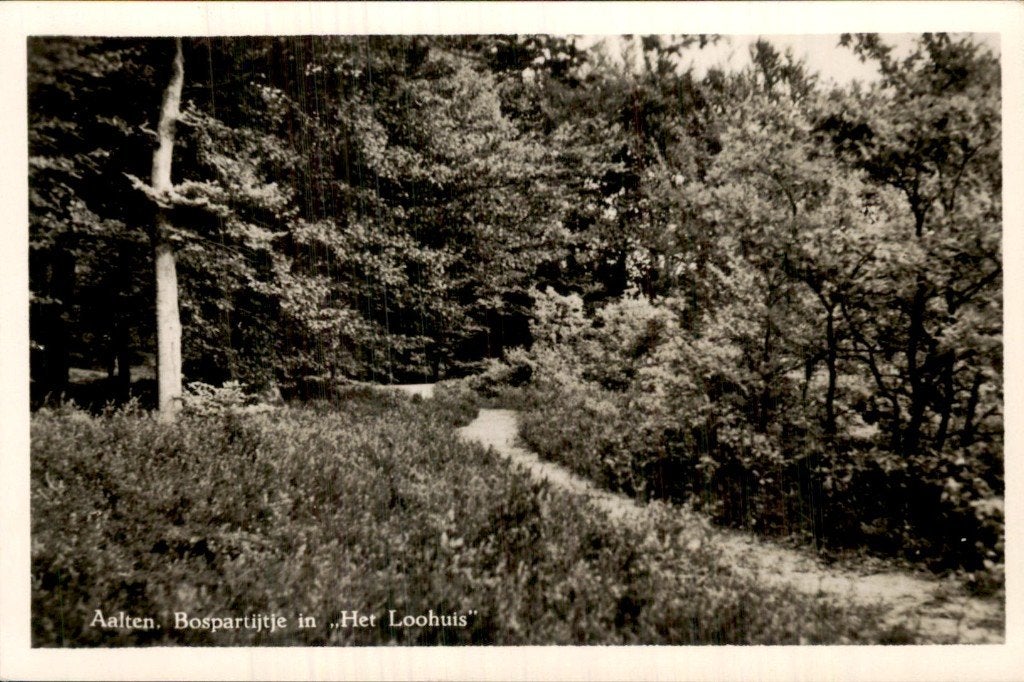 Aalten - Bospartijtje - Het Loohuis, Ophalen of Verzenden, 1920 tot 1940, Ongelopen, Gelderland