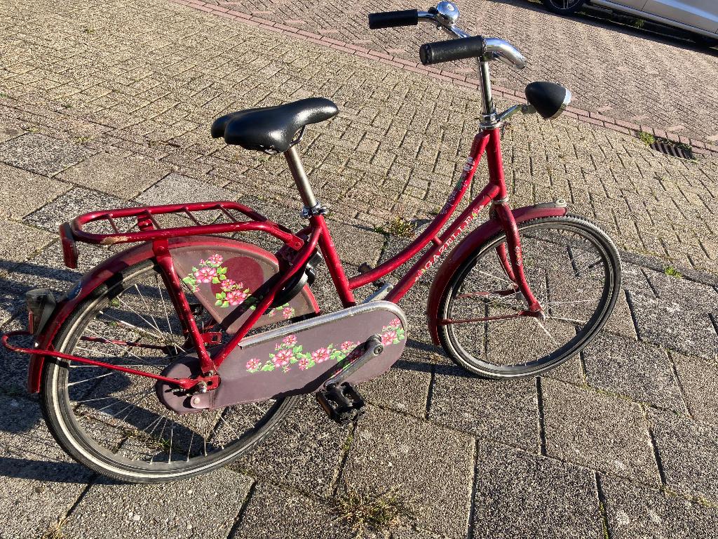 Kinderfiets Gazelle 20 inch, Ophalen, Gebruikt, 20 inch, Gazelle