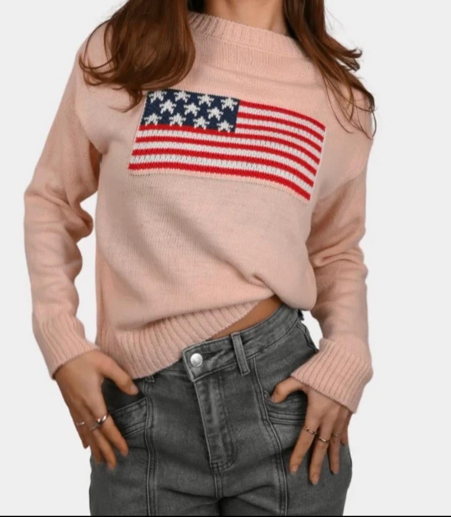 Fashiontiger - Roze trui met Amerikaanse vlag, Ophalen of Verzenden, Zo goed als nieuw, Roze, Maat 36 (S)