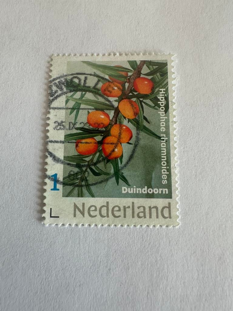 Persoonlijke zegel, Ophalen of Verzenden