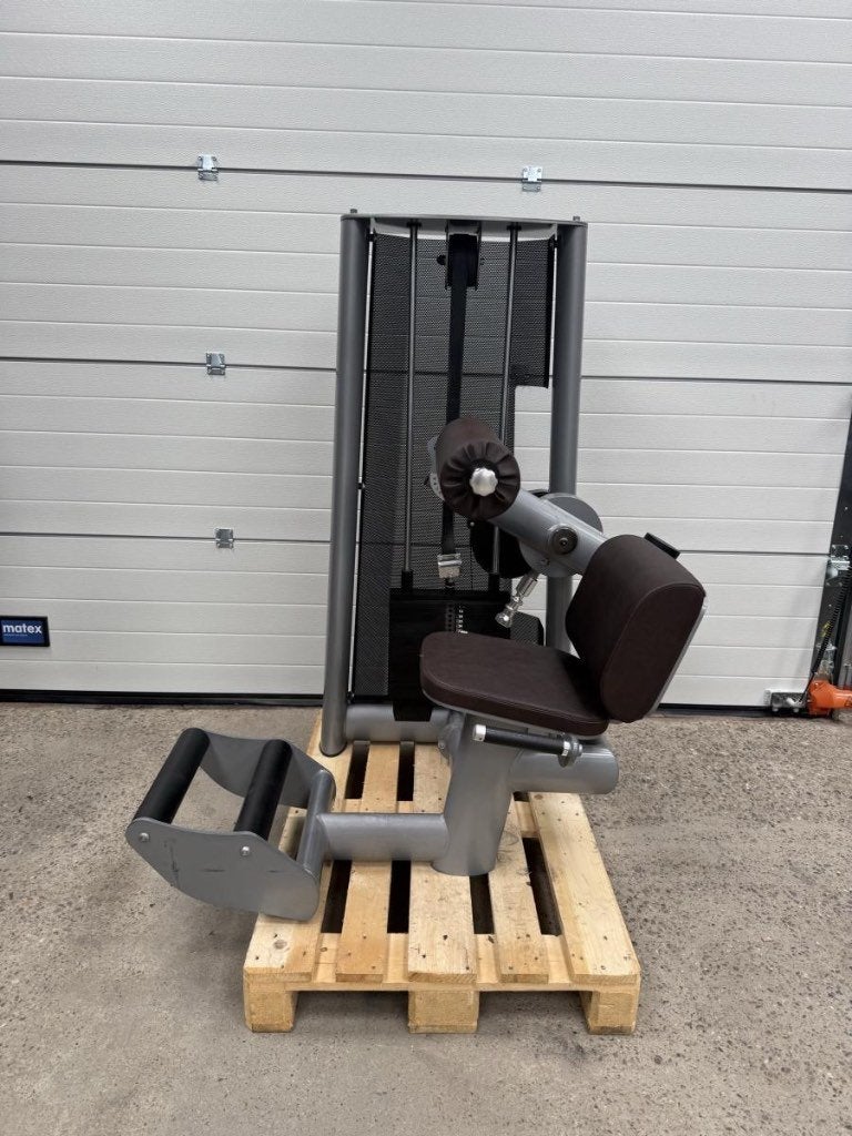 Gym 80 Back extension / Sygnum line/ Rucken