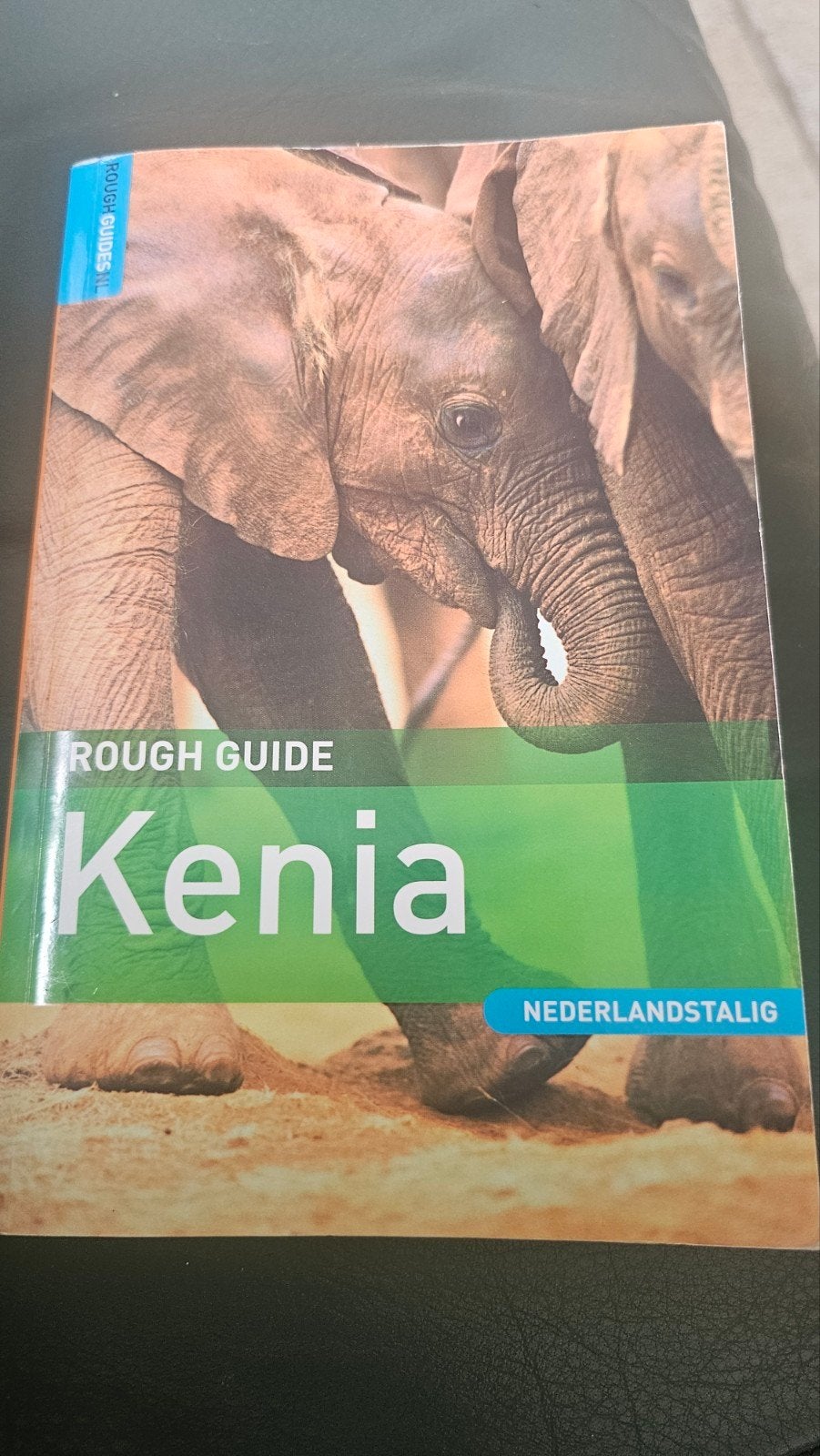 Rough Guide Kenia - Nederlandstalig (in nieuwstaat), Boeken, Reisgidsen, Ophalen of Verzenden, Zo goed als nieuw, Reisgids of -boek