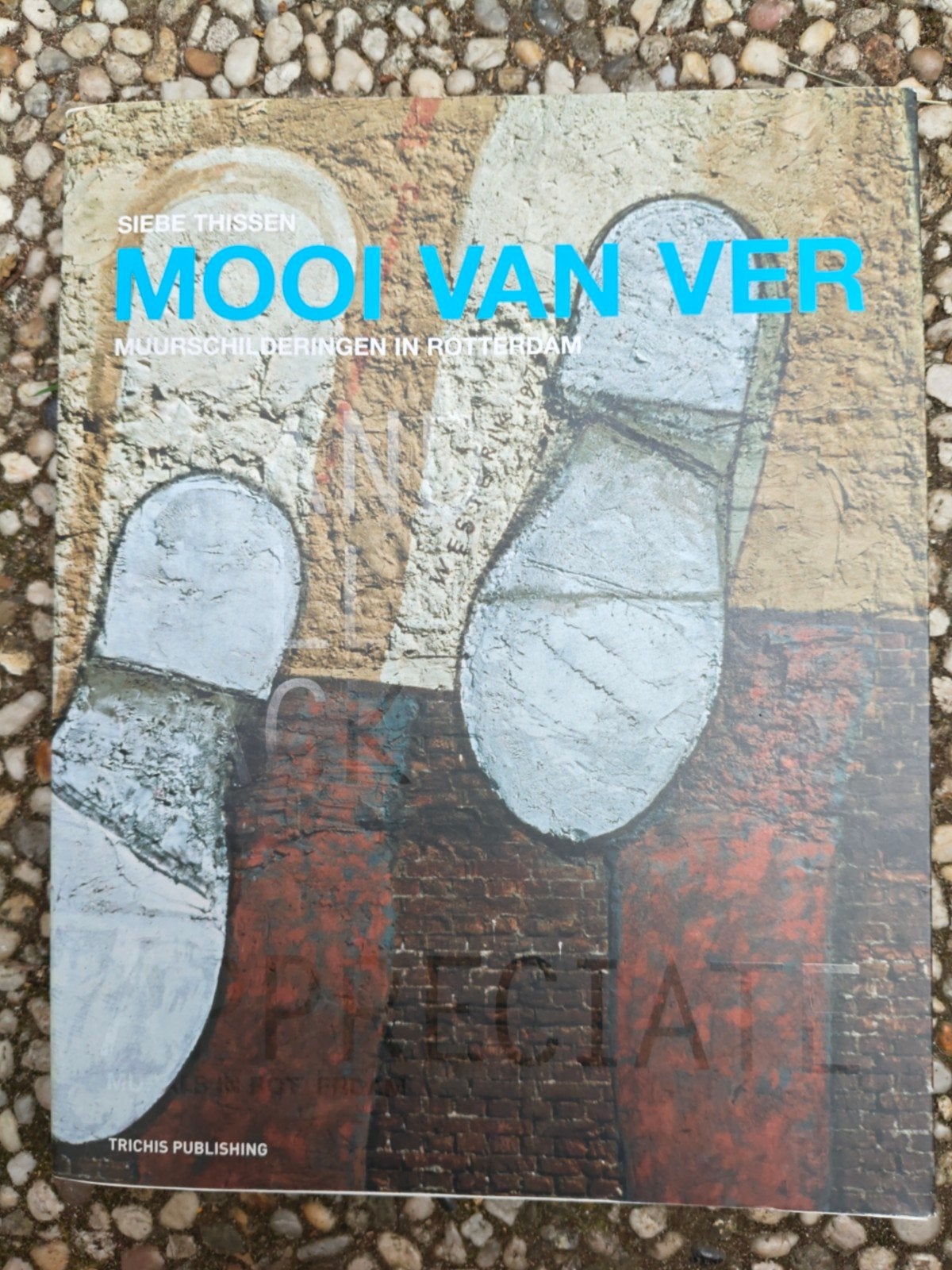 Mooi Van Ver - Muurschilderingen In Rotterdam (2007), Boeken, Ophalen of Verzenden, Zo goed als nieuw, Overige onderwerpen