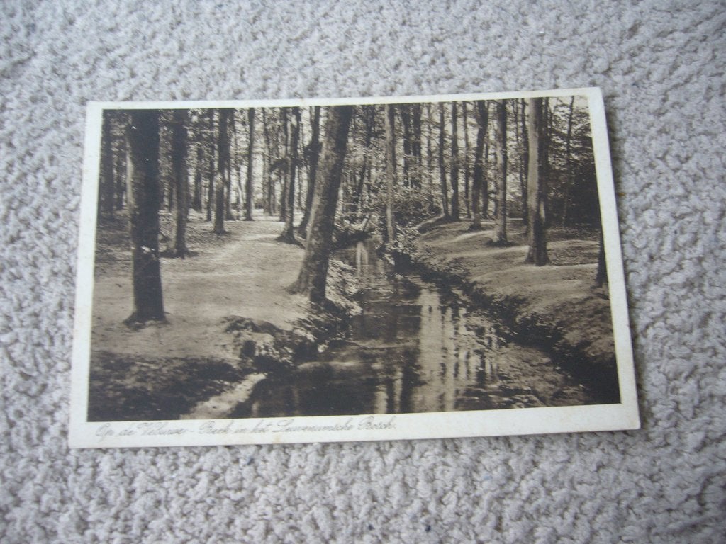 VELUWE  =  BEEK IN HET LEUVENUMSCHE BOSCH  1932, Ophalen of Verzenden, 1920 tot 1940, Gelopen, Gelderland