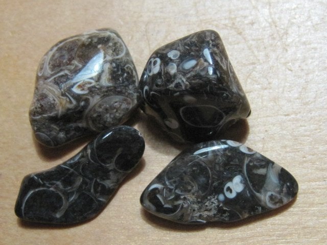 ed. 2x 4 aparte edelstenen TURRITELLA AGAAT (3), Verzenden, Nieuw