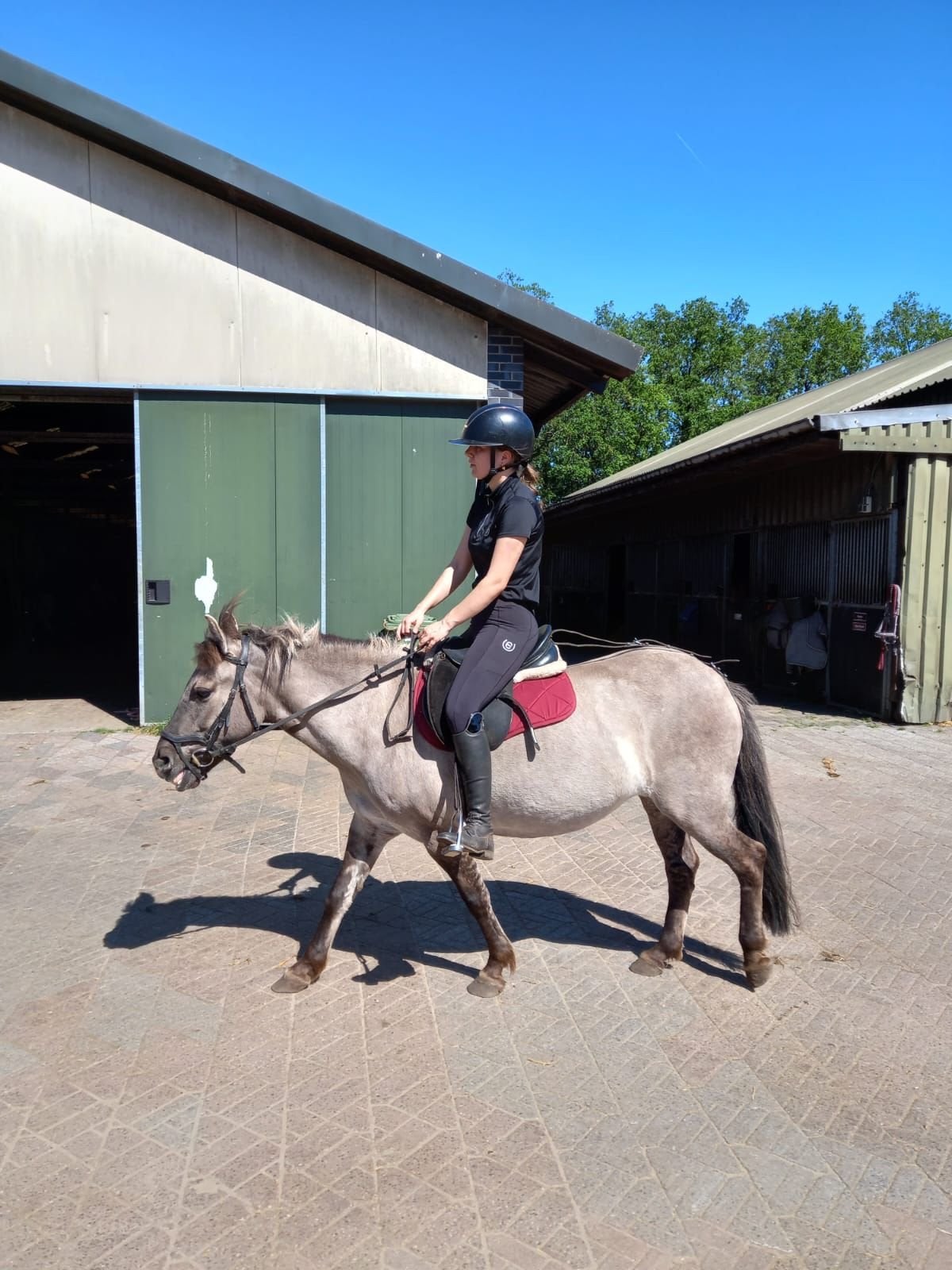 Leuke kinderpony merie, Dieren en Toebehoren, Pony's, Merrie, Zadelmak, C pony (1.27m tot 1.37m), Recreatiepony, 0 tot 2 jaar