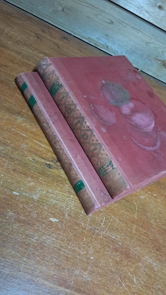 2 bijbels   18 incvezk, Ophalen of Verzenden