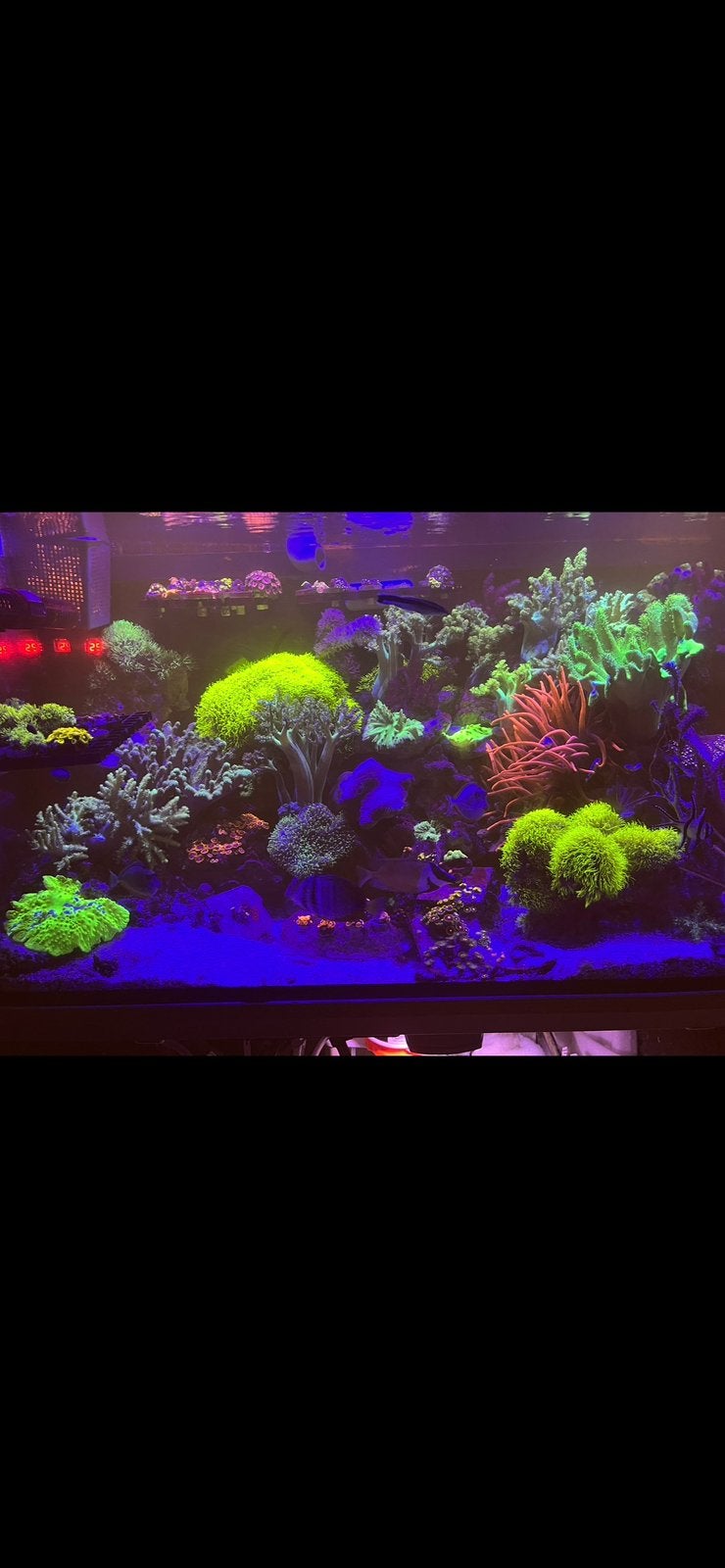 Leeg zeeaquarium, Dieren en Toebehoren, Ophalen, Zo goed als nieuw, Leeg aquarium
