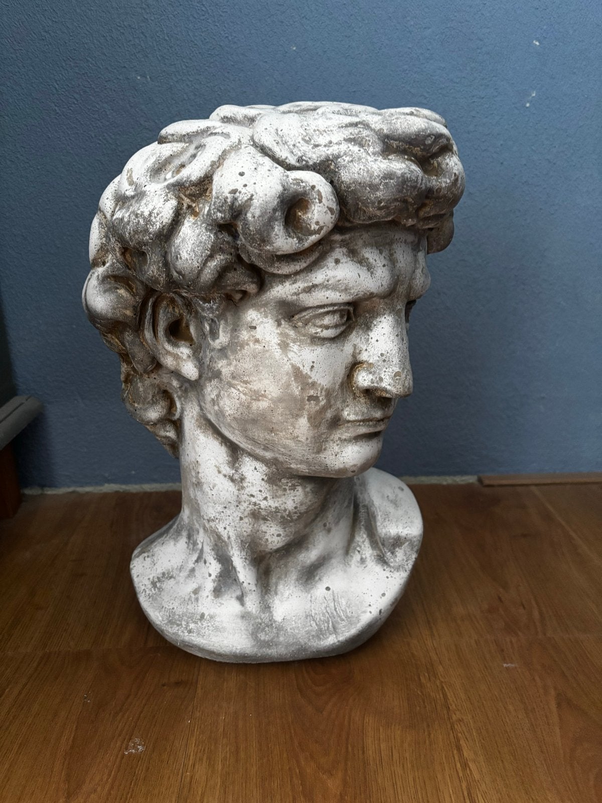 Buste van David - Klassiek beeldhouwwerk, Ophalen, Buste, Handgemaakt, 20 - 50 cm