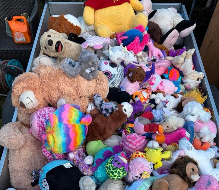 Grote verzameling knuffels,ook m glinsterogen.€ 1,- p st, Ophalen, Gebruikt, Overige typen