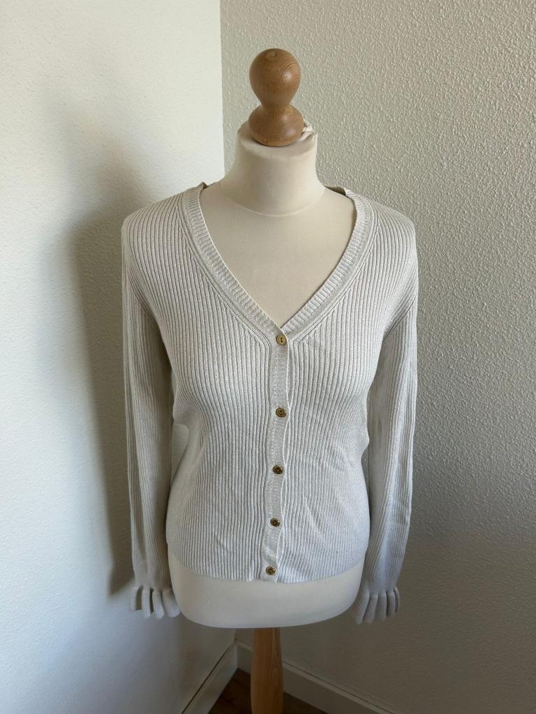 Fabienne Chapot maat L Simone cardigan vest 407, Kleding | Dames, Beige, Maat 42/44 (L), Ophalen of Verzenden, Zo goed als nieuw