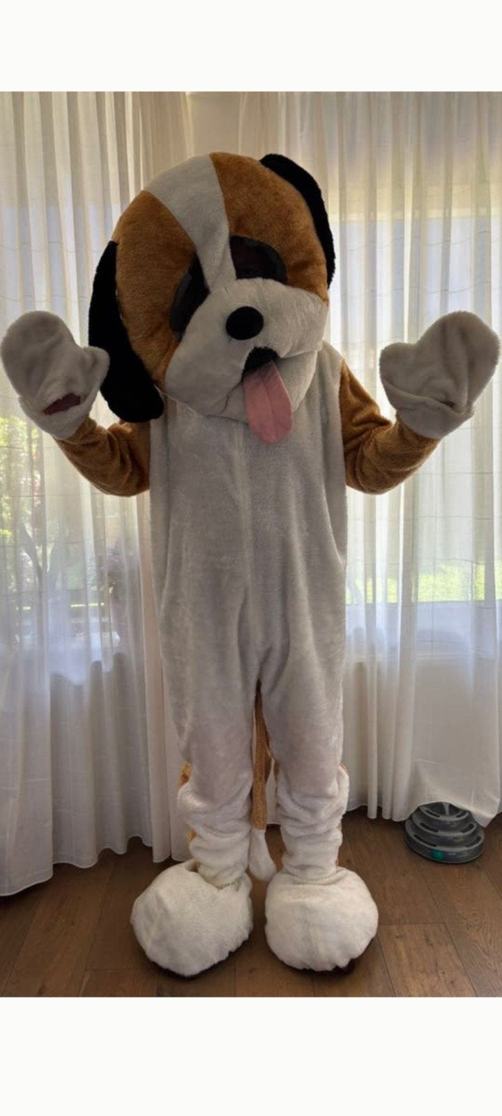 Honden pak / mascotte pak, Ophalen of Verzenden, Zo goed als nieuw, Overige typen