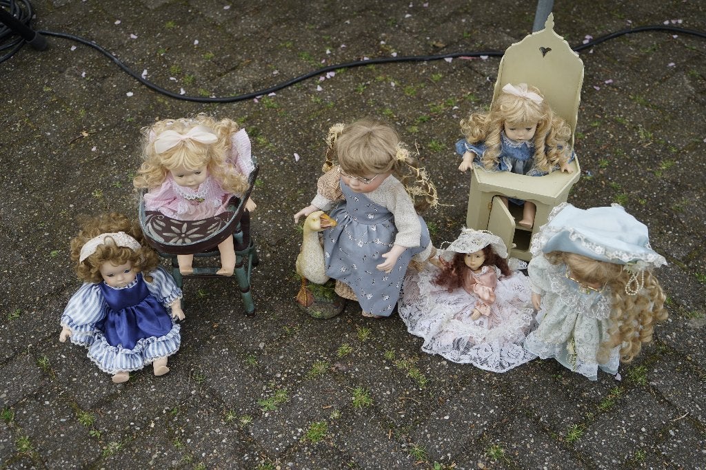 Poppen, Verzamelen, Ophalen, Gebruikt, Pop, Levensecht of Reborn