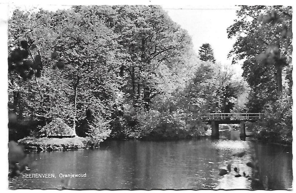 Heerenveen Oranjewoud Oude Gelopen Ansichtkaart ( B933 ), Ophalen of Verzenden, Voor 1920, Gelopen, Friesland