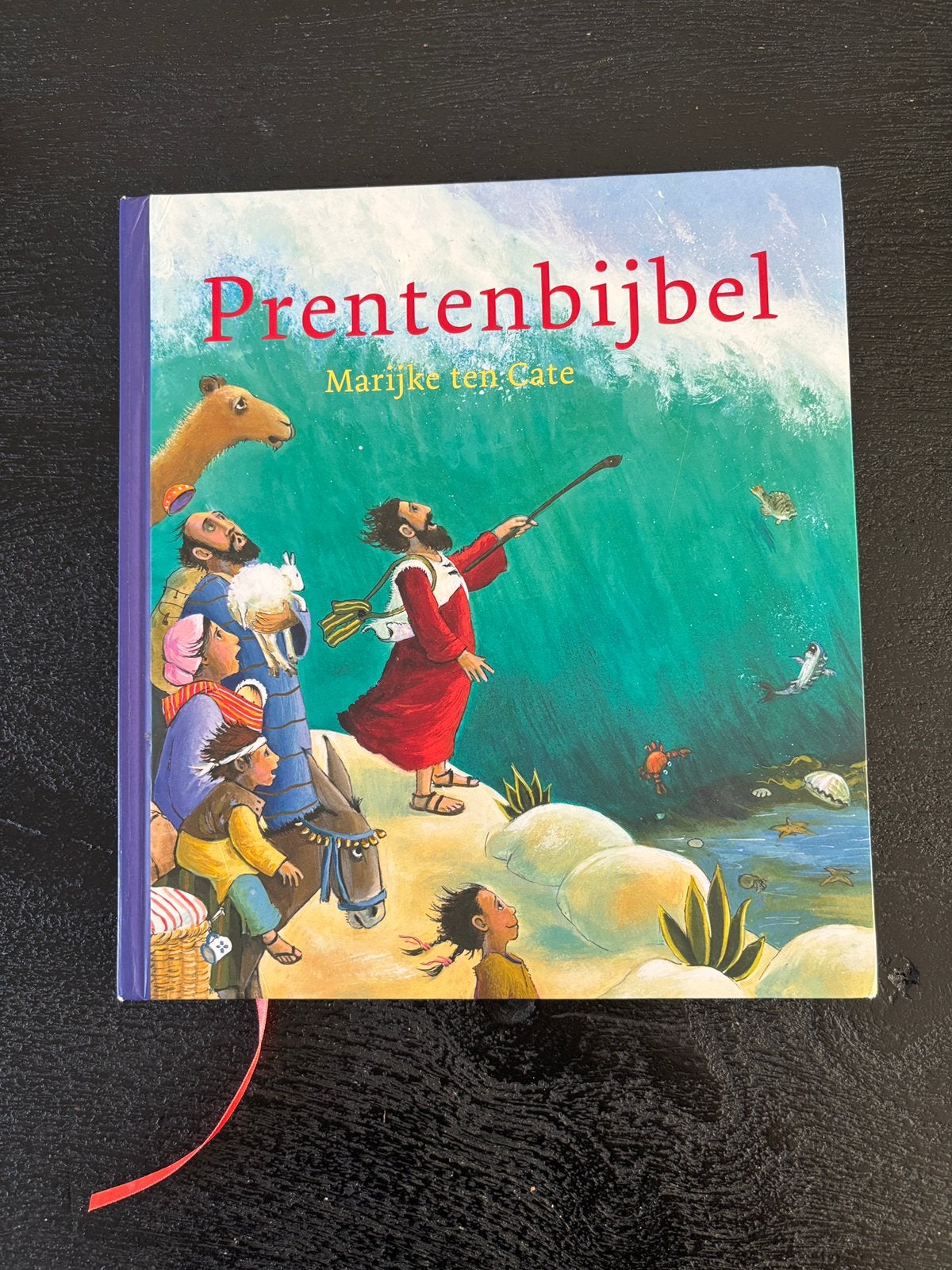 Liesbeth van Binsbergen - Prentenbijbel, Boeken, Ophalen, Non-fictie, Zo goed als nieuw, Liesbeth van Binsbergen