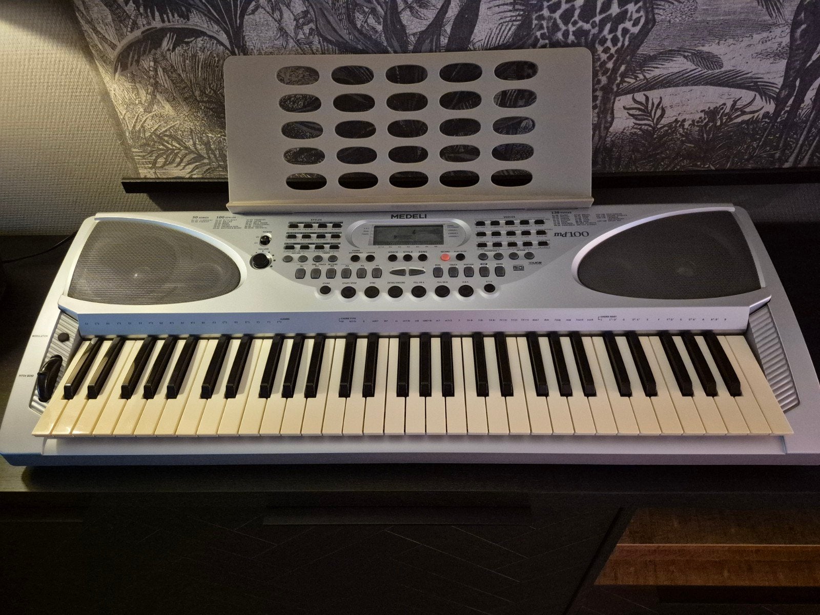 Medeli MD100 Keyboard - 61 toetsen met USB en MIDI, Ophalen, Midi-aansluiting, Medeli, 61 toetsen
