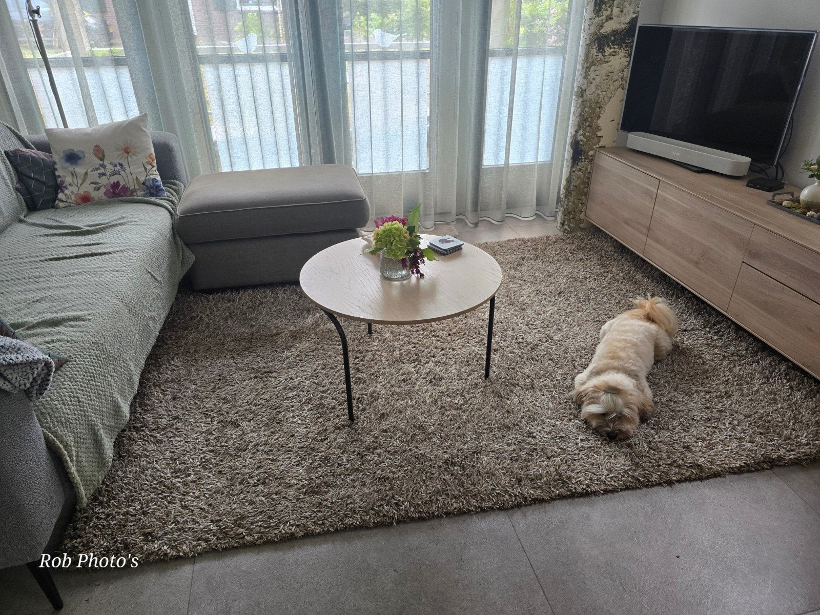 Perletta Carpets Vloerkleed Wol/Polyester 230x170 cm, Modern, Comfortabel, Gebruikt, 150 tot 200 cm, 200 cm of meer