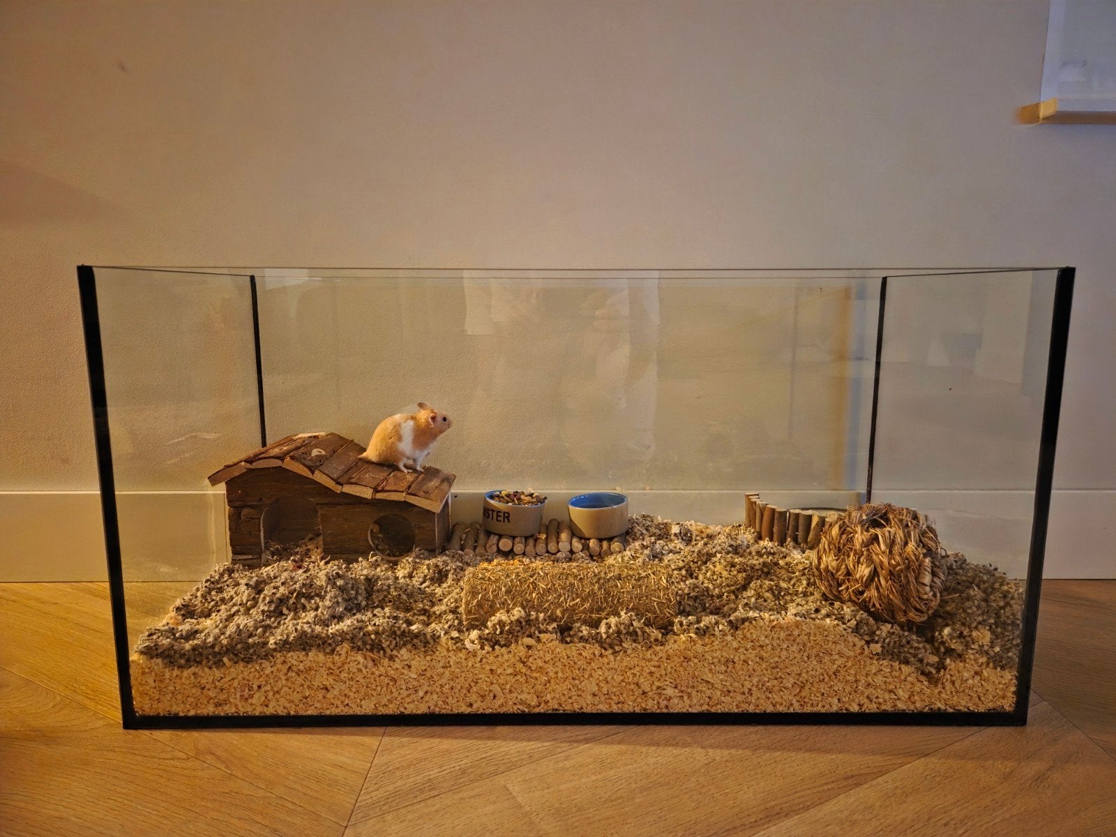 Aquarium 80x30x40cm, Dieren en Toebehoren, Vis