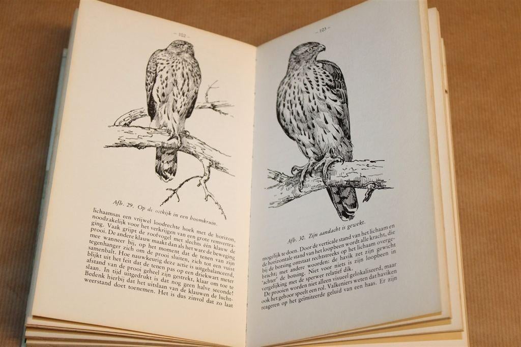 De Havik — Paul Opdam [Dieren Dichterbij - Gebonden], Boeken, Dieren en Huisdieren, Ophalen of Verzenden, Gelezen, Katten