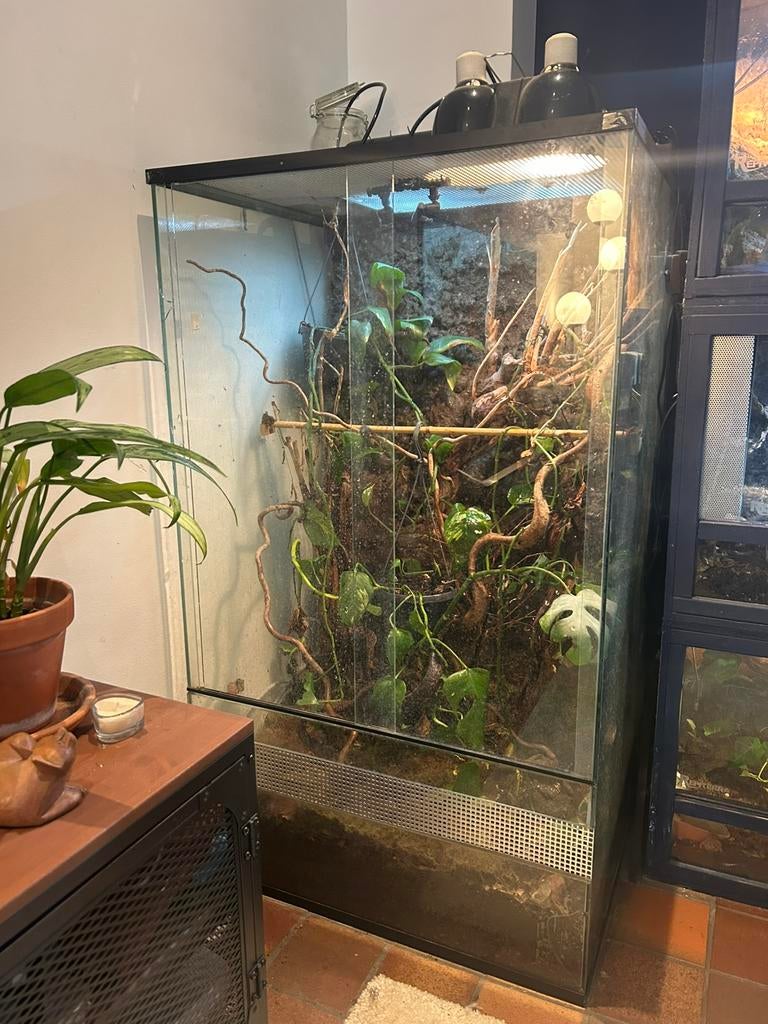Prachtig groot ingericht terrarium met toebehoren 120x70x70, Ophalen, Zo goed als nieuw