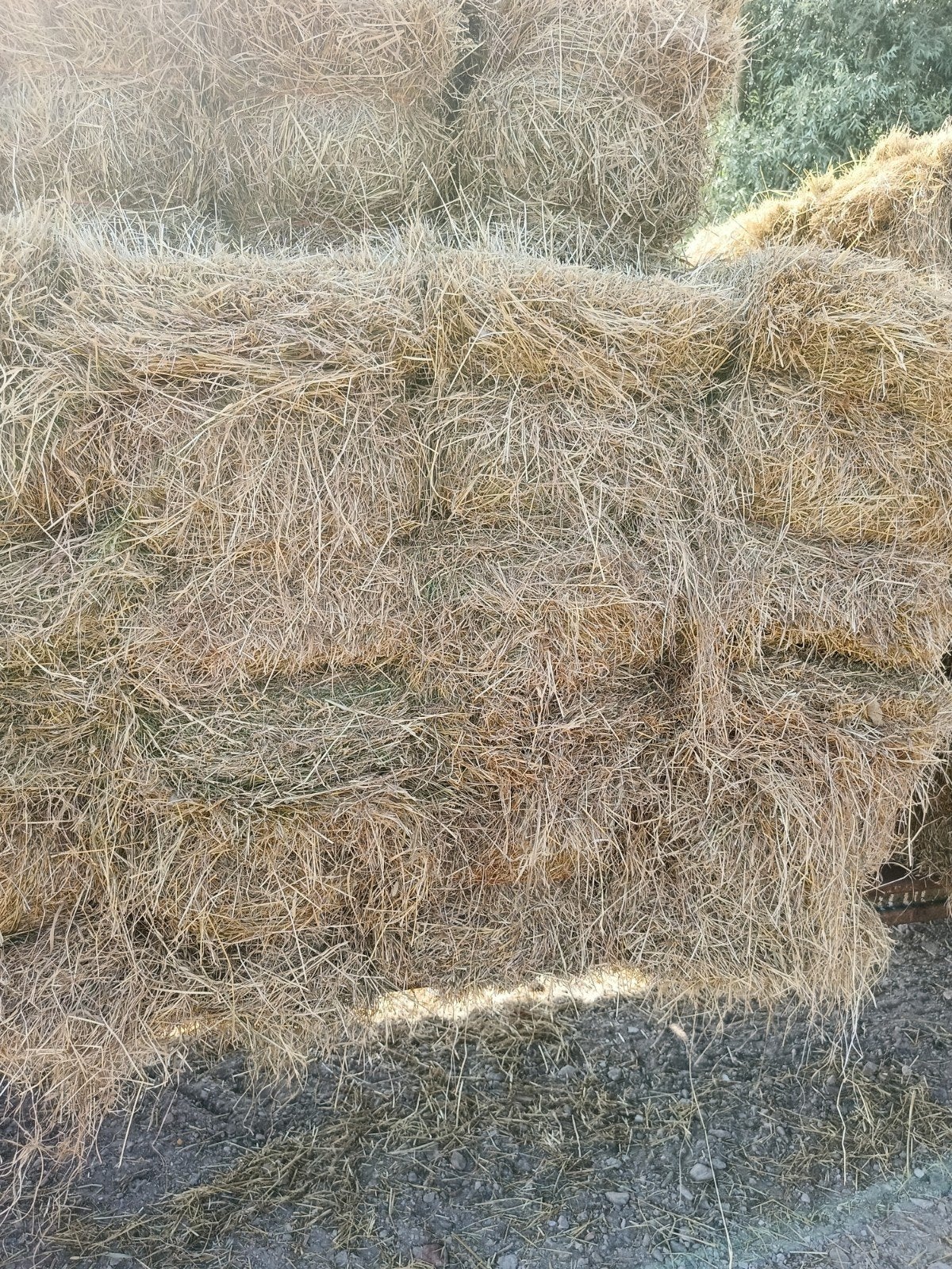 paarden hooi, Dieren en Toebehoren, Ophalen of Verzenden, Vee