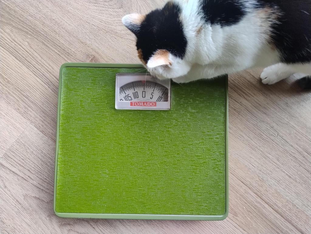 Vintage Tomado Personenweegschaal | Jaren '70 | Olijfgroen, Gebruikt, Analoog, 100 kg of meer, Ophalen of Verzenden