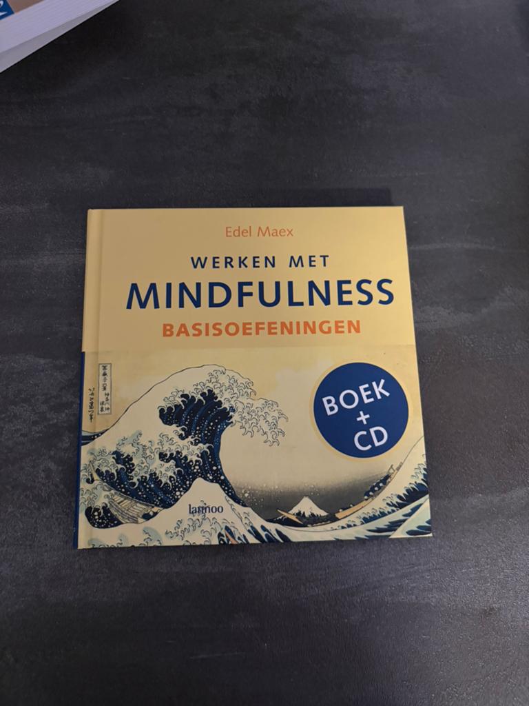 Mindfulness incl cd, Ophalen of Verzenden, Zo goed als nieuw, Meditatie of Yoga, Instructieboek