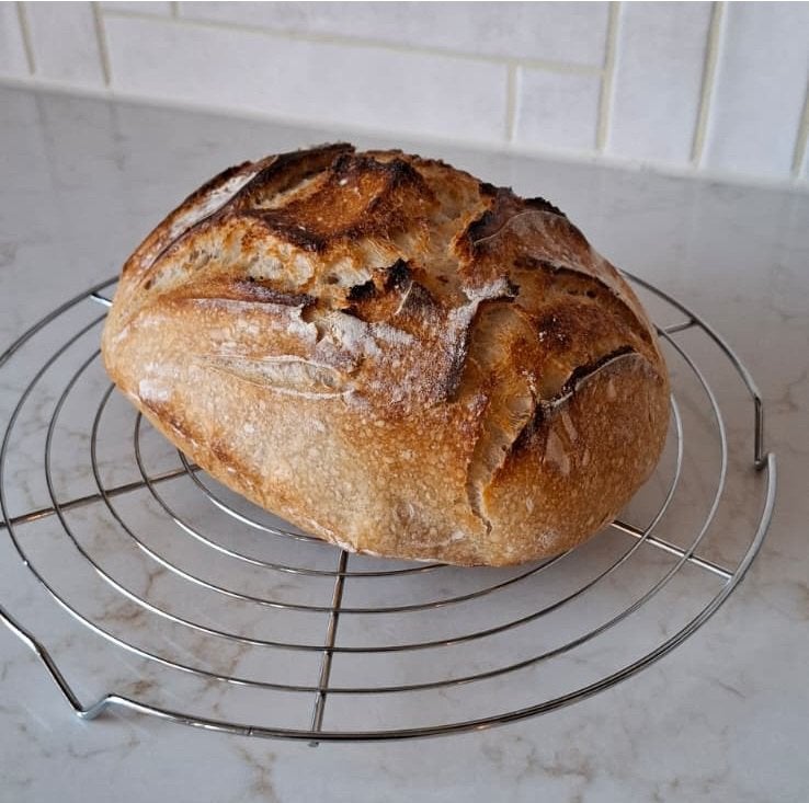 Zuurdesem starter obv Roggemeel, Diversen, Levensmiddelen, Ophalen