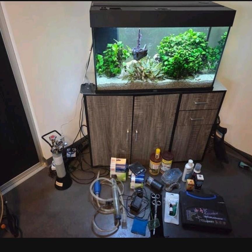Juwel Rio aquarium 125l, Dieren en Toebehoren, Ophalen, Gebruikt, Gevuld zoetwateraquarium