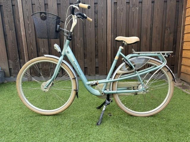 Robuuste Batavus Mambo moederfiets, Fietsen en Brommers, Ophalen, 2 zitjes, Gebruikt, Batavus