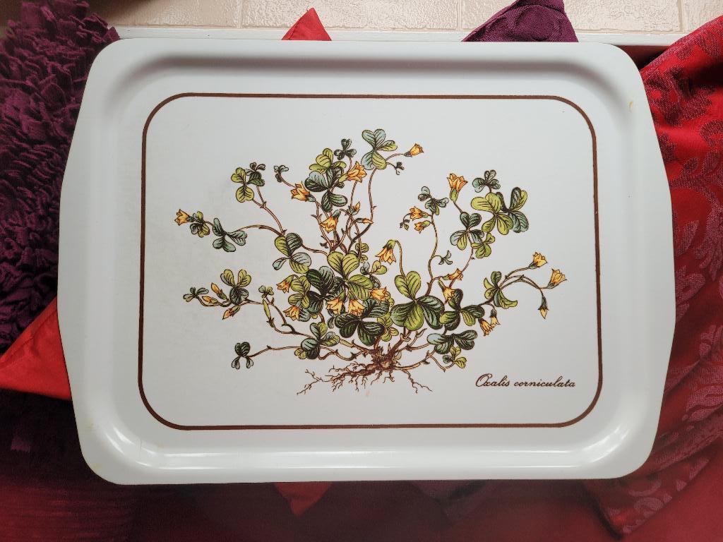 Botanica denblad Villery en Boch, uitstekende staat, Huis en Inrichting, Woonaccessoires | Dienbladen, Ophalen of Verzenden, Zo goed als nieuw