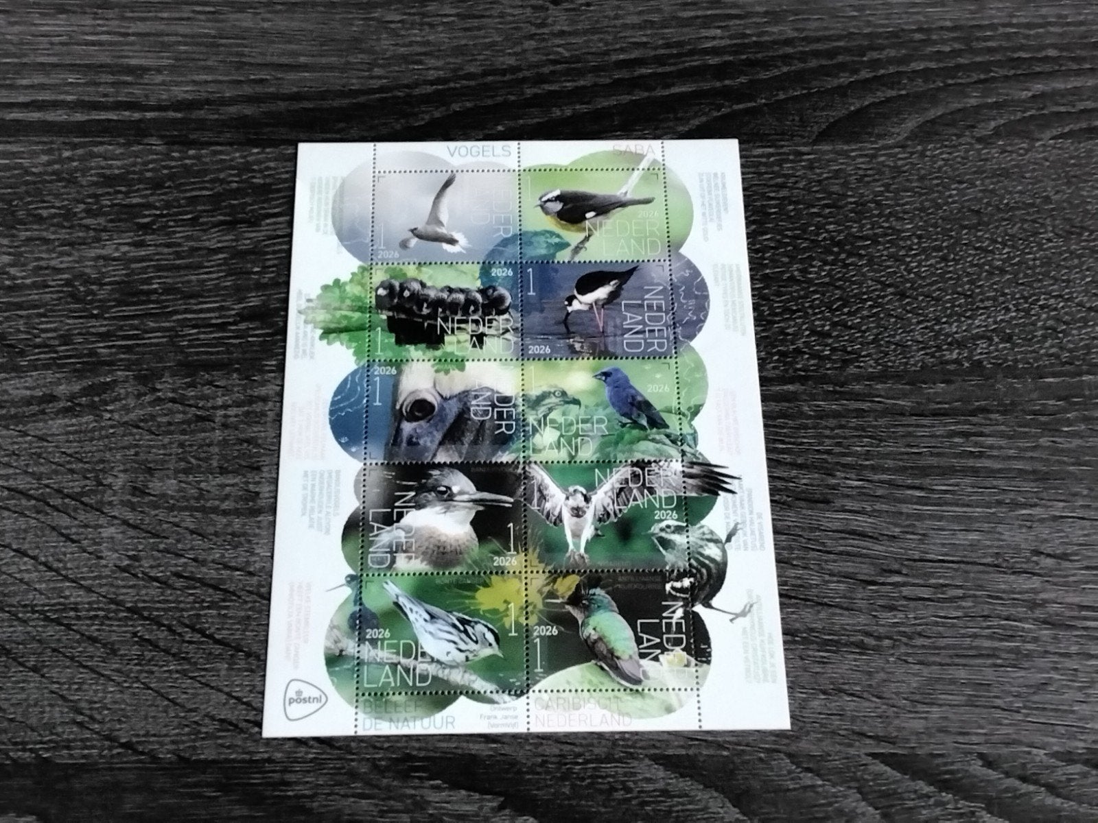 Beleef de Natuur serie Saba vogel zegels 2026 postfris, Postzegels en Munten, Verzenden, Na 1940, Postfris