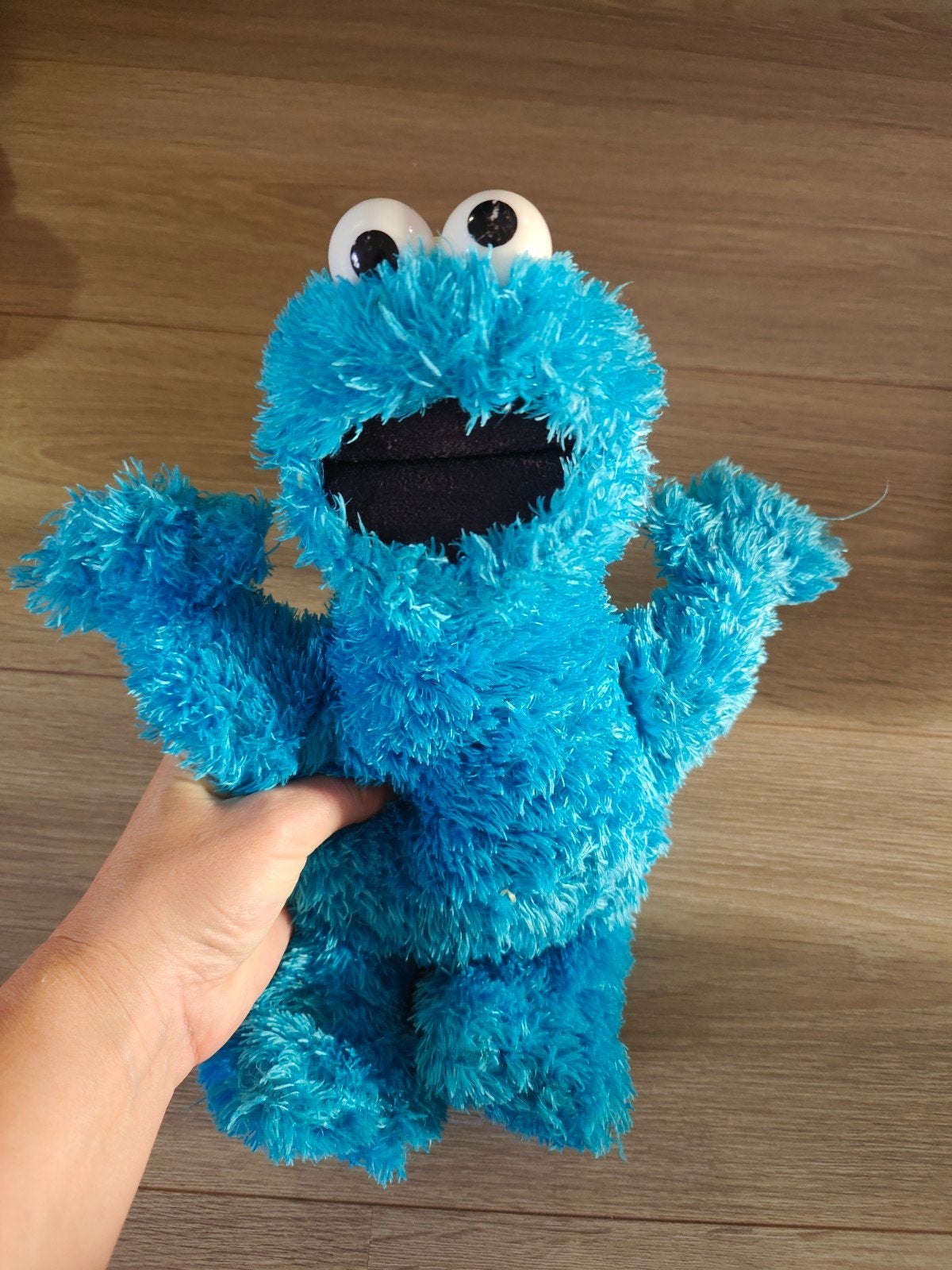 Koekiemonster Knuffel Sesamstraat, Ophalen, Gebruikt, Overige merken, Overige karakters