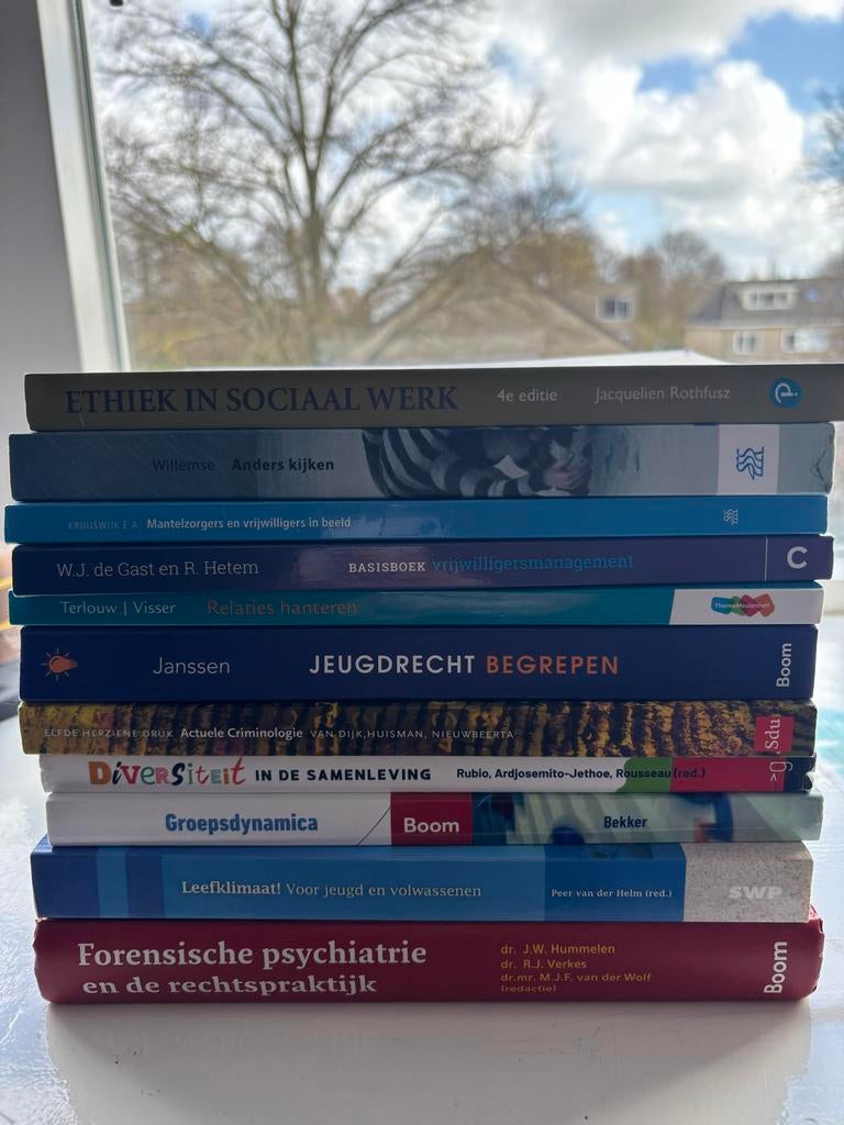 Boeken Sociaal Werk, Boeken, Studieboeken en Cursussen, Ophalen of Verzenden, Gamma, Gelezen, HBO