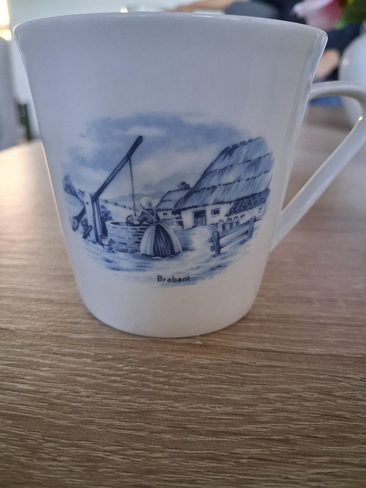 set servies met Hollandse taferelen, Klassiek, Ophalen of Verzenden, Zo goed als nieuw, Porselein
