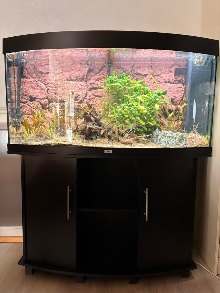 Juwel vision 260L, Dieren en Toebehoren, Vissen | Aquaria en Toebehoren, Ophalen, Zo goed als nieuw, Gevuld zoetwateraquarium