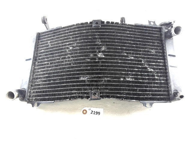Radiator D1-37881