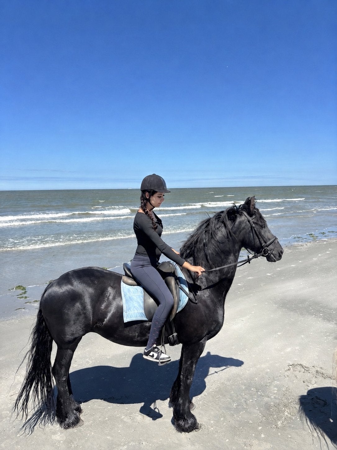 Paard/pony verzorgen, Ophalen of Verzenden, Nieuw