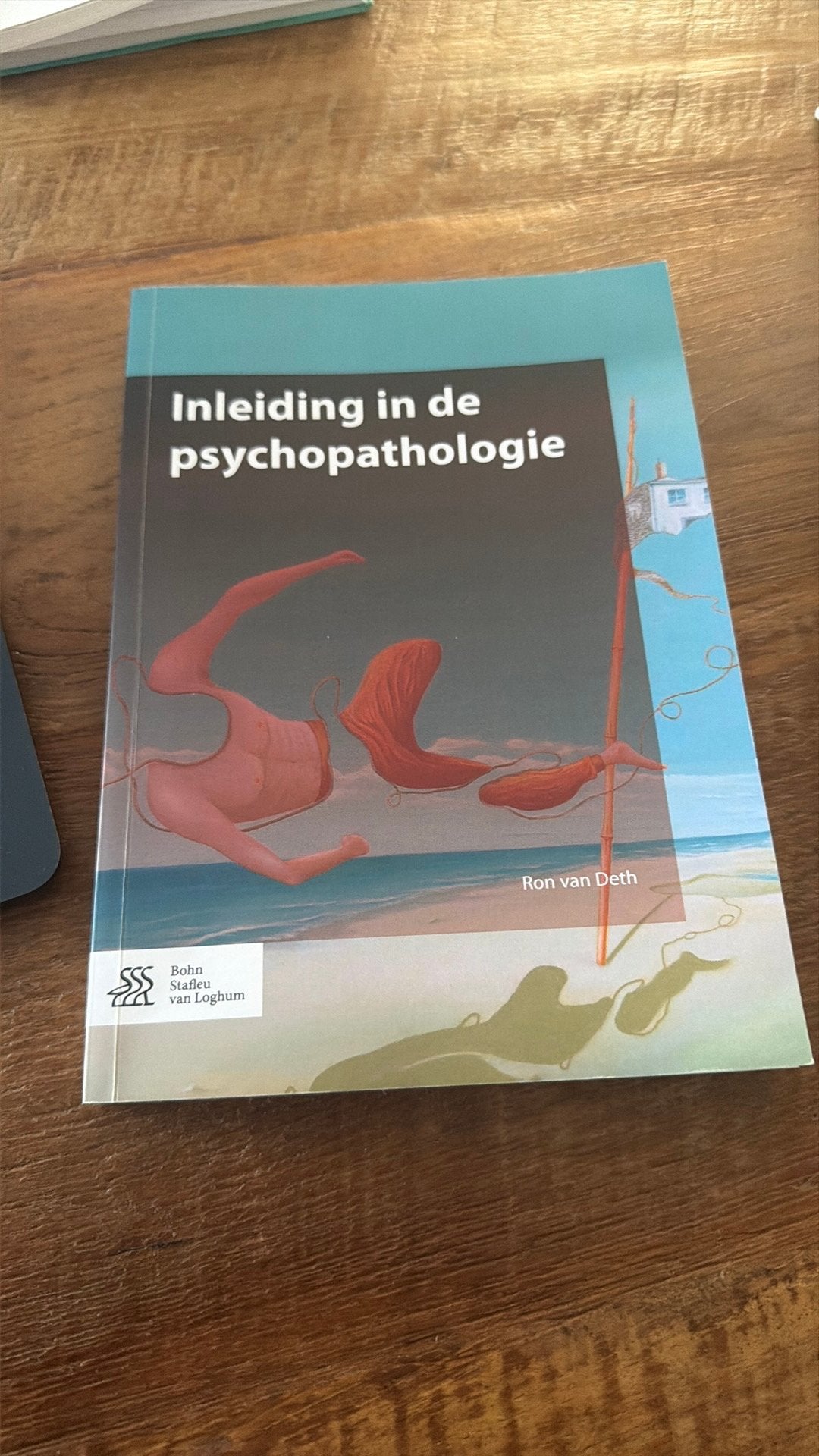 Inleiding in de psychopathologie, Boeken, Ophalen of Verzenden, Zo goed als nieuw, HBO, Ron van Deth